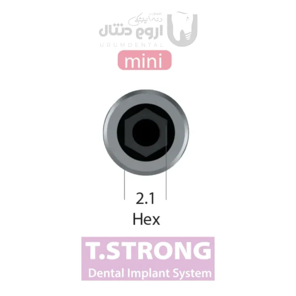 Frame 45026088 urumdental.shop