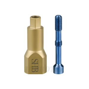 اسکن بادی کامپتیبل با SIC